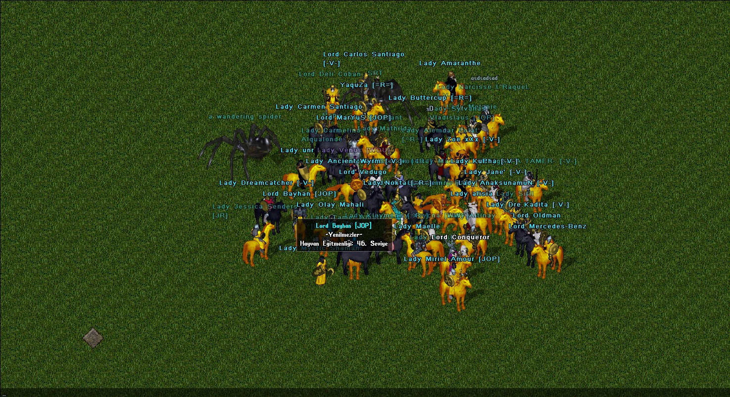-null Resimleri